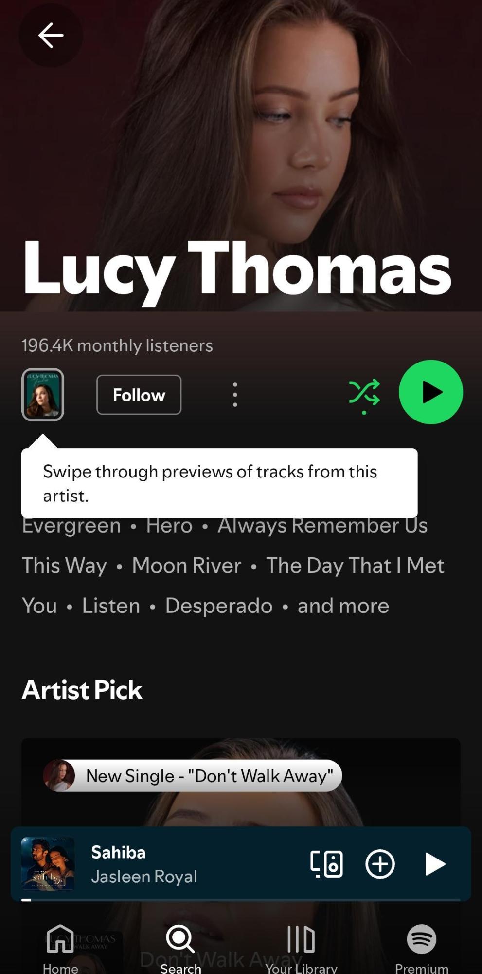 Spotify Profile of an Artist