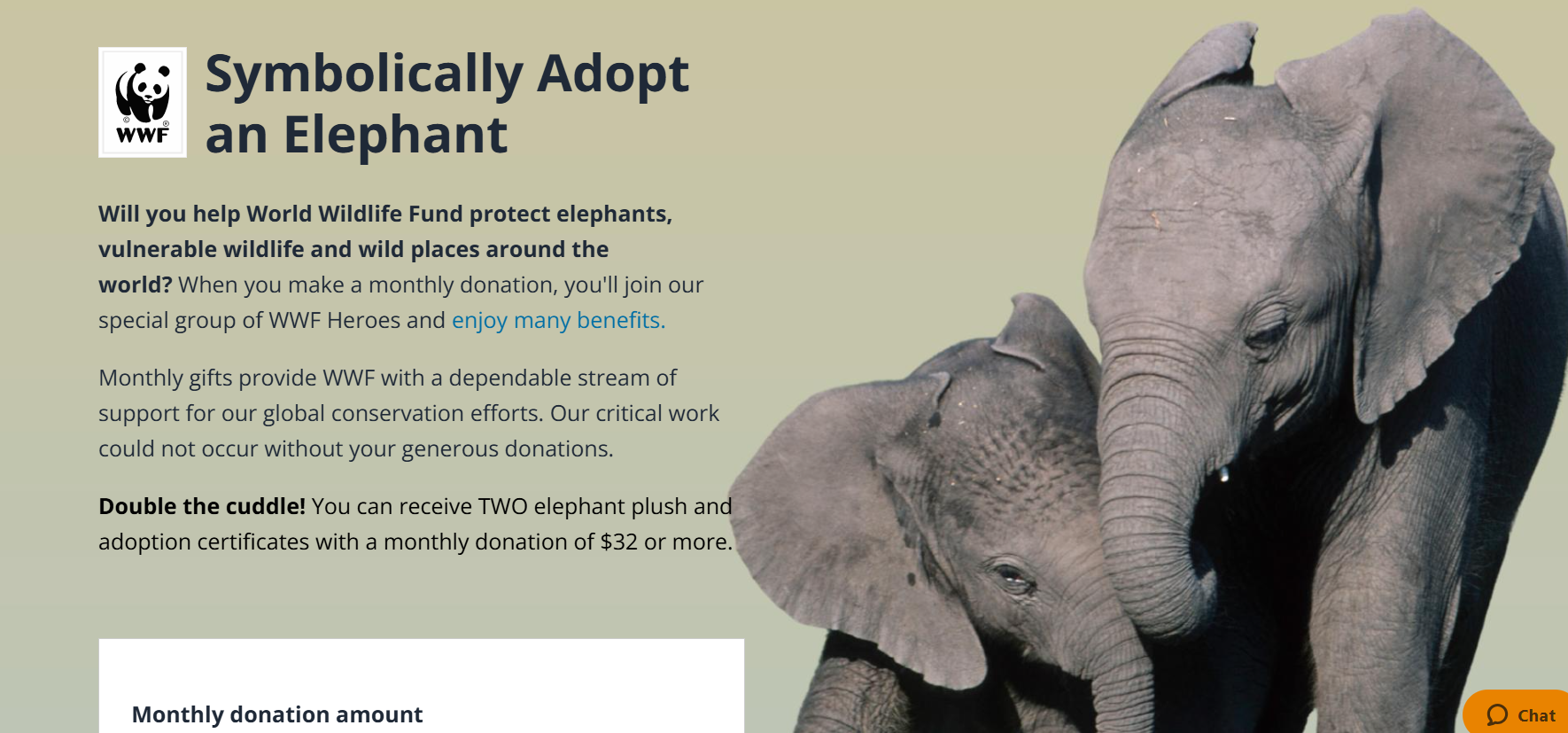 Screenshot from WWF’s Symbolically Adopt an Elephant campaign