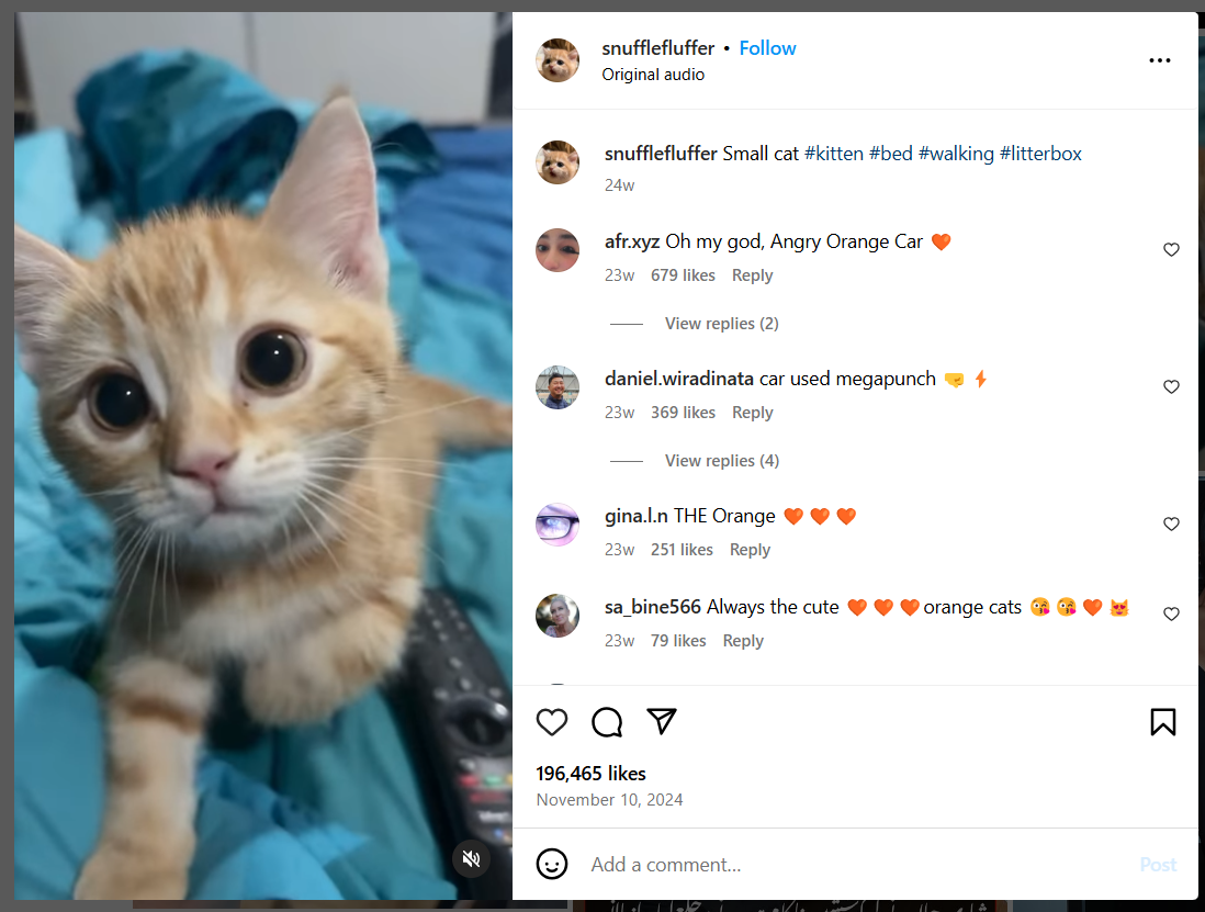 Entertaining Post on Instagram