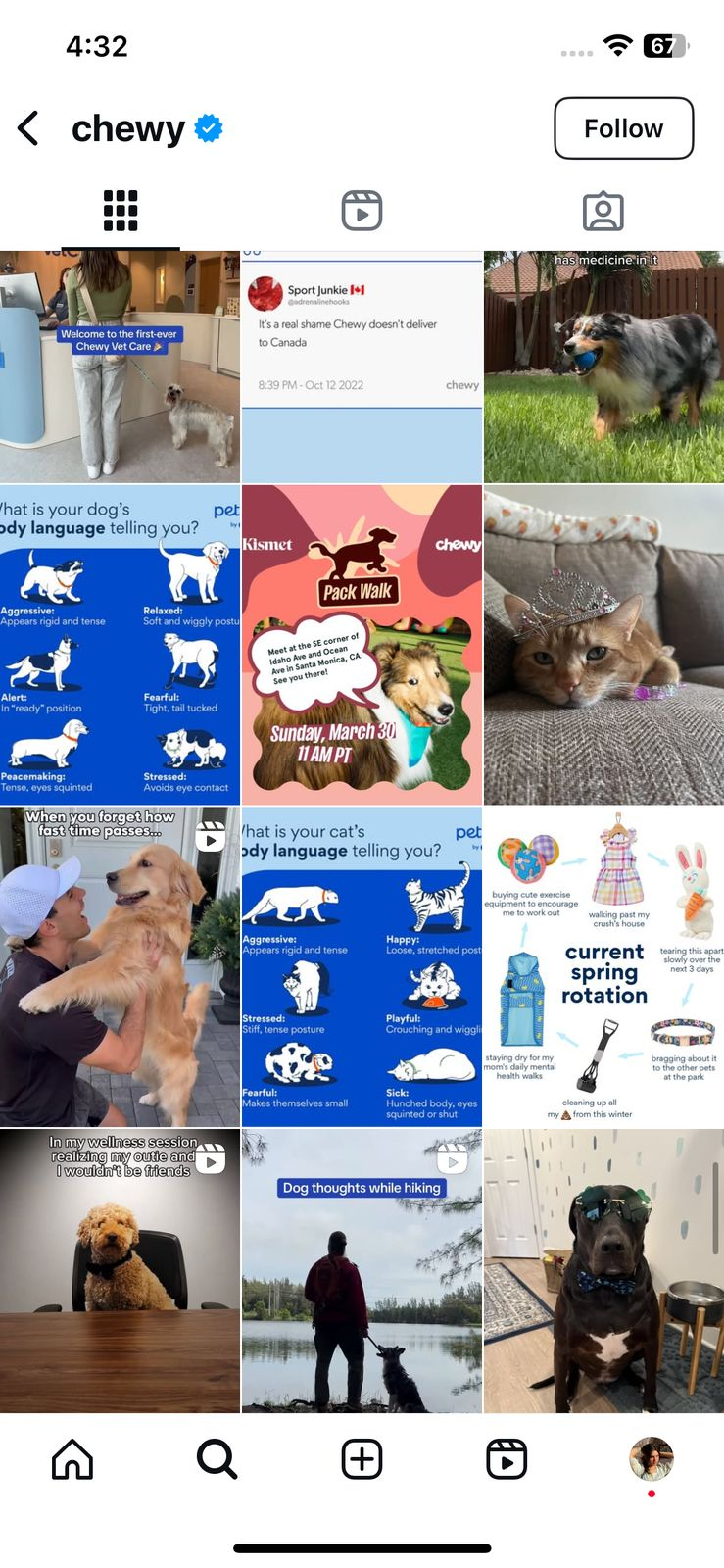 Example of Chewy’s Profile on Instagram